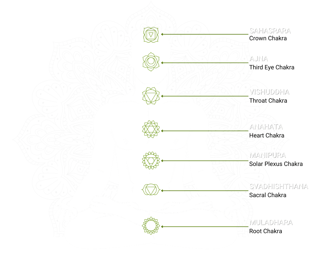Misson Vision SaiAyush Ayurveda